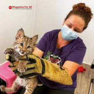 Jamie Veronica Murdock in a mask and gloves gently holds a small kitten, showcasing a caring interaction during a health-conscious moment.
