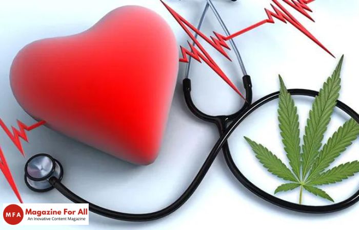 Cannabis and Heart Health_ Navigating the Complex Relationship