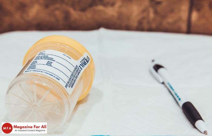 Breaking Down the Components of a Urine Cup Drug Test Kit