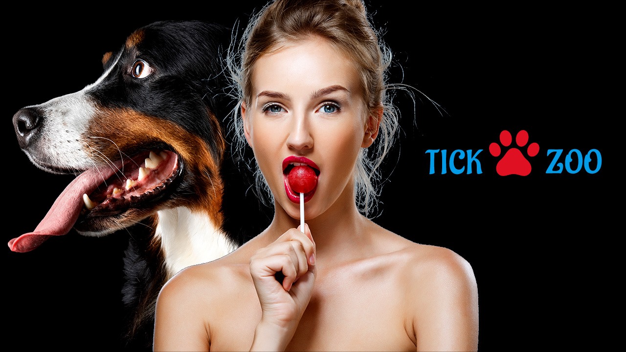What Is TickZoo 