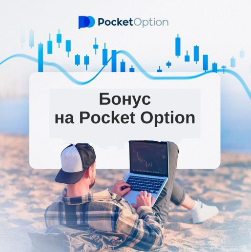 Pocket Option Traders Экосистема для Современных Инвесторов