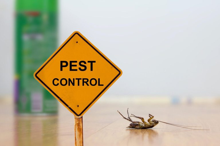 Boca Raton pest control services