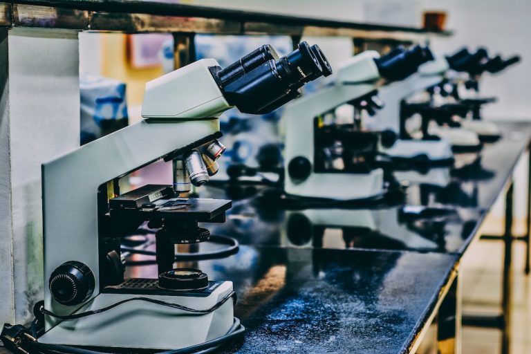 How Early-Stage Research Shapes Modern Medicine