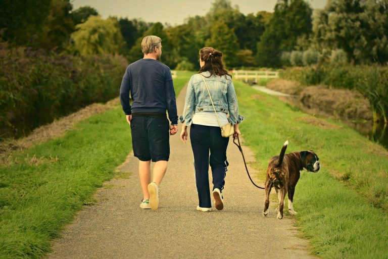 Pet Walking Services