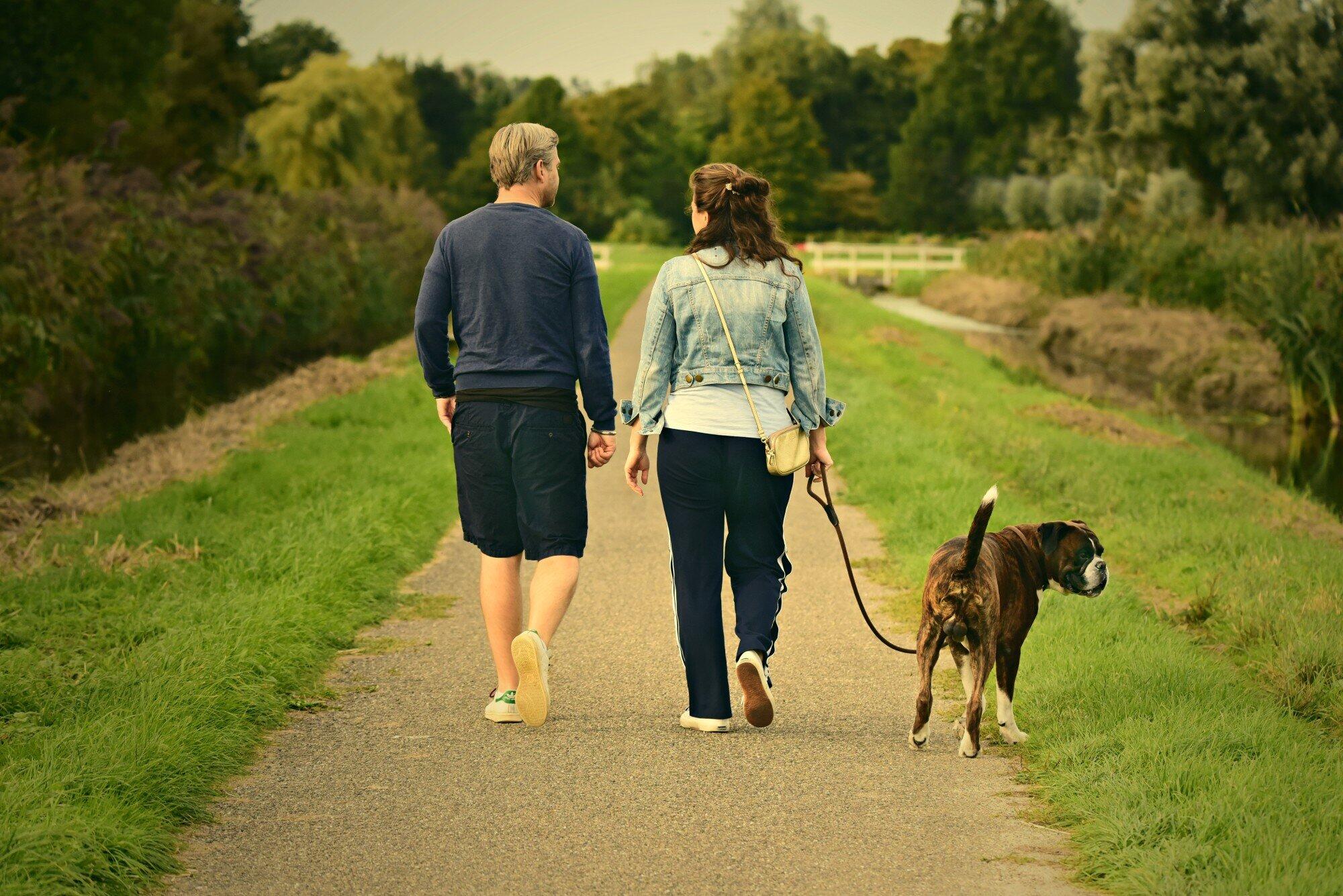 Pet Walking Services