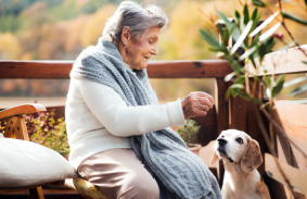 Enjoy Independence and Comfort in Active Senior Living