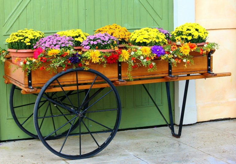 flower-cart-wagon-mums