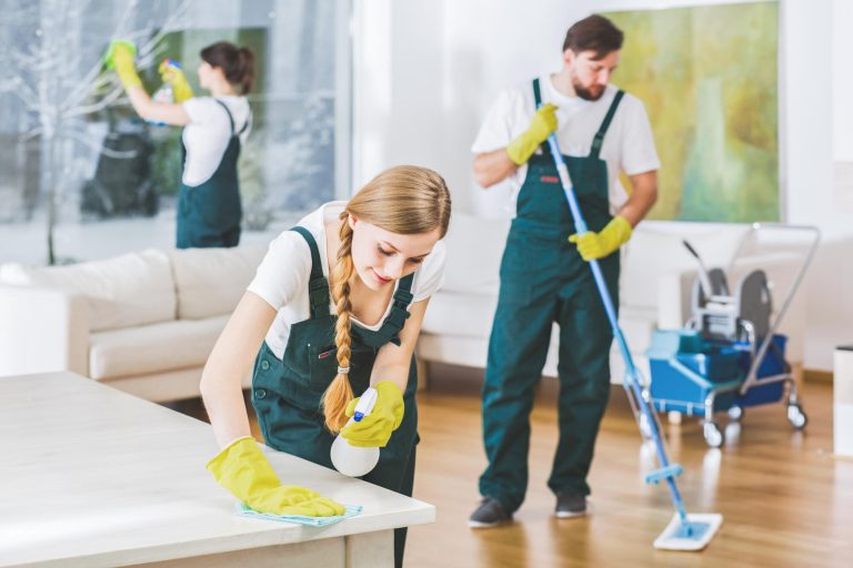 Cleaning,Service,Employees,With,Professional,Equipment,Cleaning,A,Private,Home